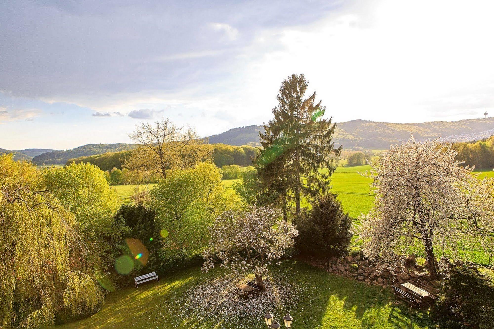 Schlosshotel Rettershof Kelkheim Zewnętrze zdjęcie